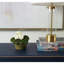 Blooms African Violet Plant In Terracotta Planter-2125946353-2125812946