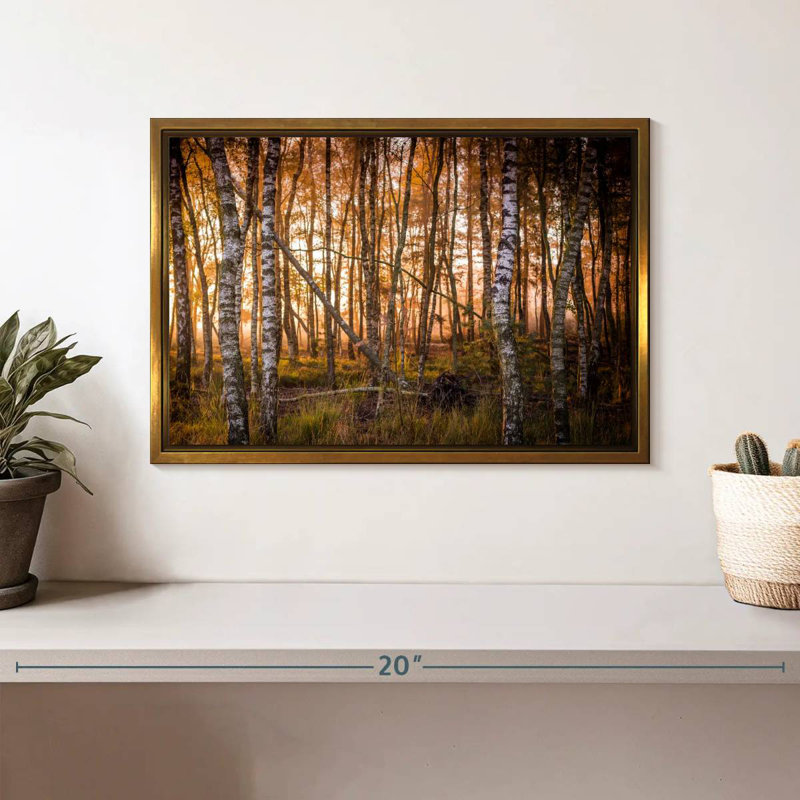 Forêt de bouleaux sombre, Cadre flottant doré, 13 po x 9 po