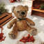 Teedy Bear Door Stop-814864504