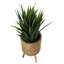 Cachepot