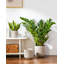 Ceramic Indoor Pot Planter-29410798