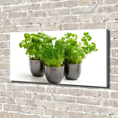 Herbs In Pots - Print