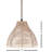 Bloomsburg 1 - Light Cone Pendant