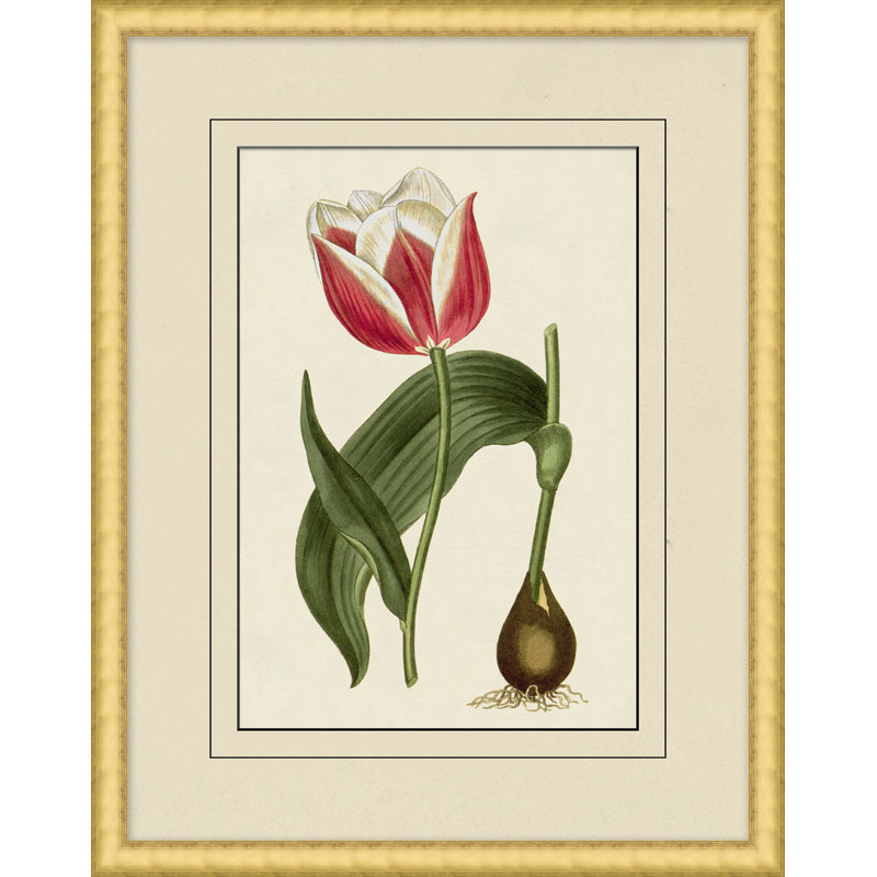 Fresh Flowers 2 Print