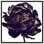 Black Peony by Oliver Gal - Print on Canvas