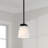 Baxley 1 - Light Matte Black Single Pendant
