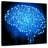 Keiri Cyborg Brain-109216376