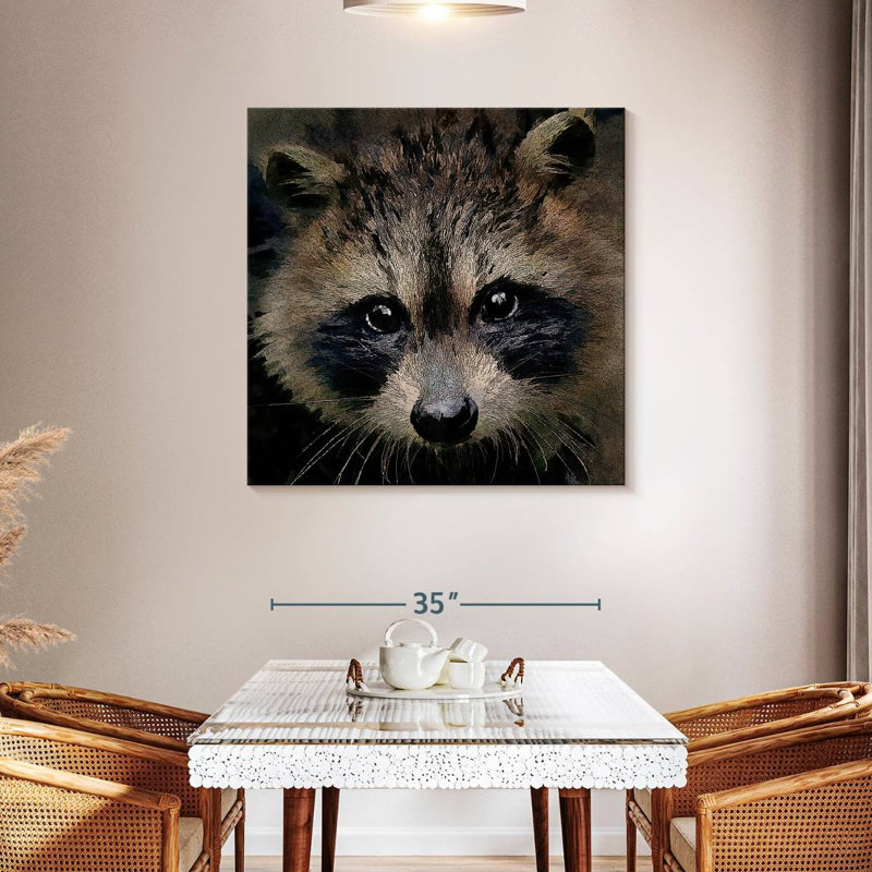 Brampt Racoon