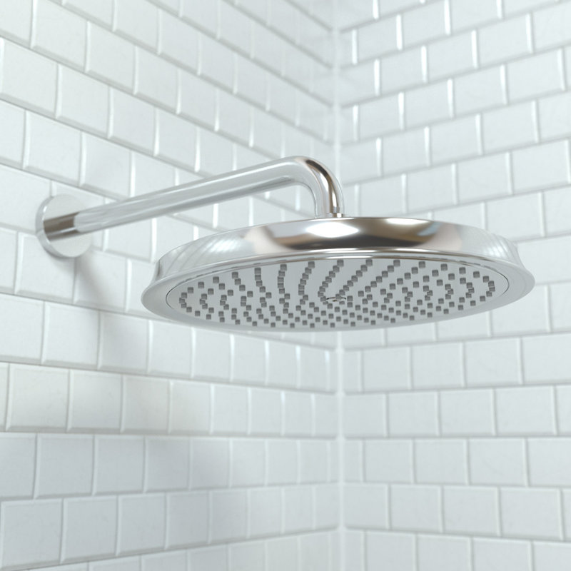 Raindance C 240 Shower Head, Chrome, 2.0 GPM