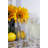 Napoleon Bee 15oz. Drinking Glass Set