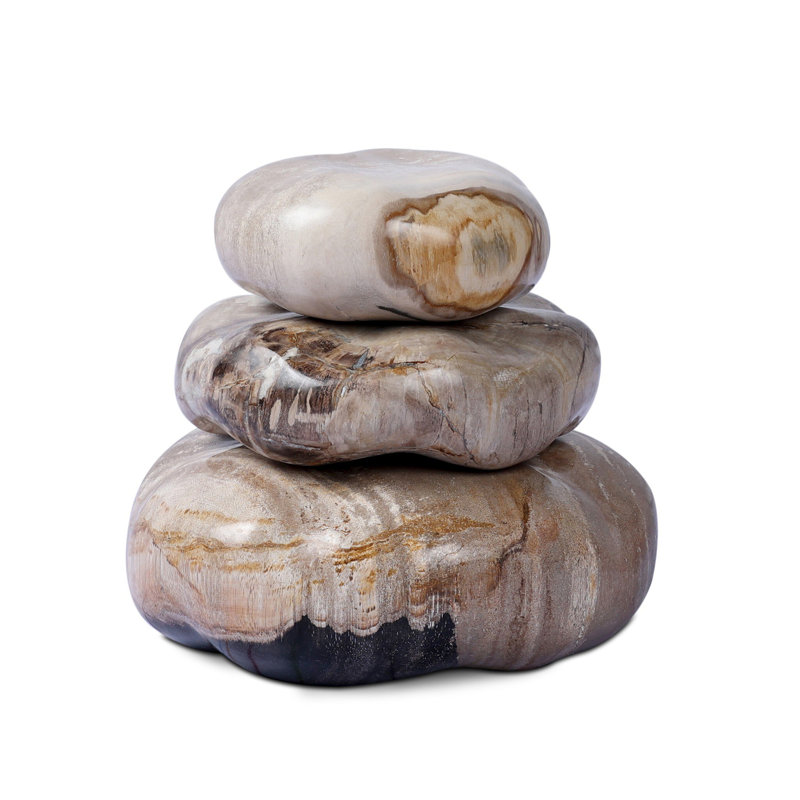 Petrified Wood Organic Sculpture, Light Brown