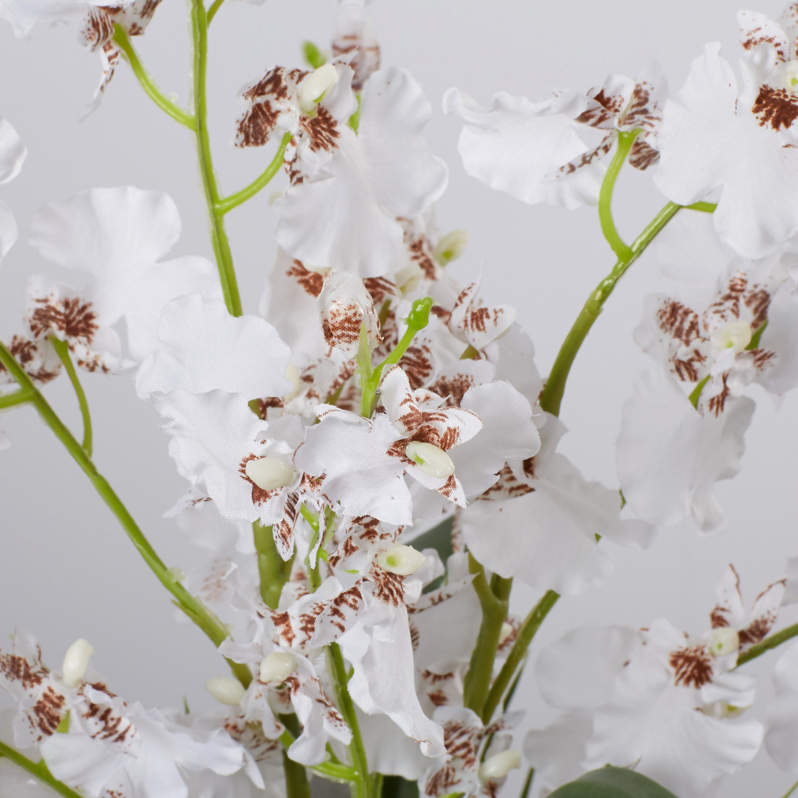 Silk Orchid Floral Arrangement, White