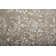 Leeson Floral Indoor Rug