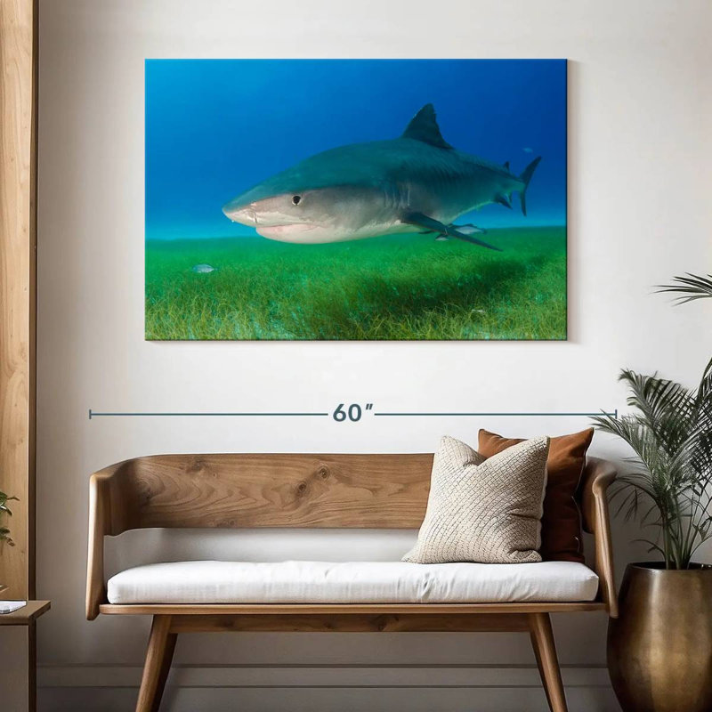Tiger Shark On Sea Grass, 32" H x 48" W