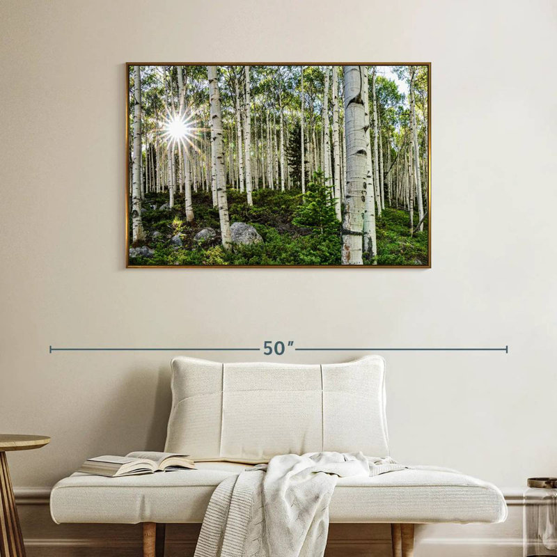 Aspen Forest Sunburst, Cadre flottant doré, 40 po x 27 po