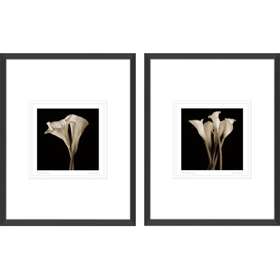 2 - Pieces Modern & Contemporary