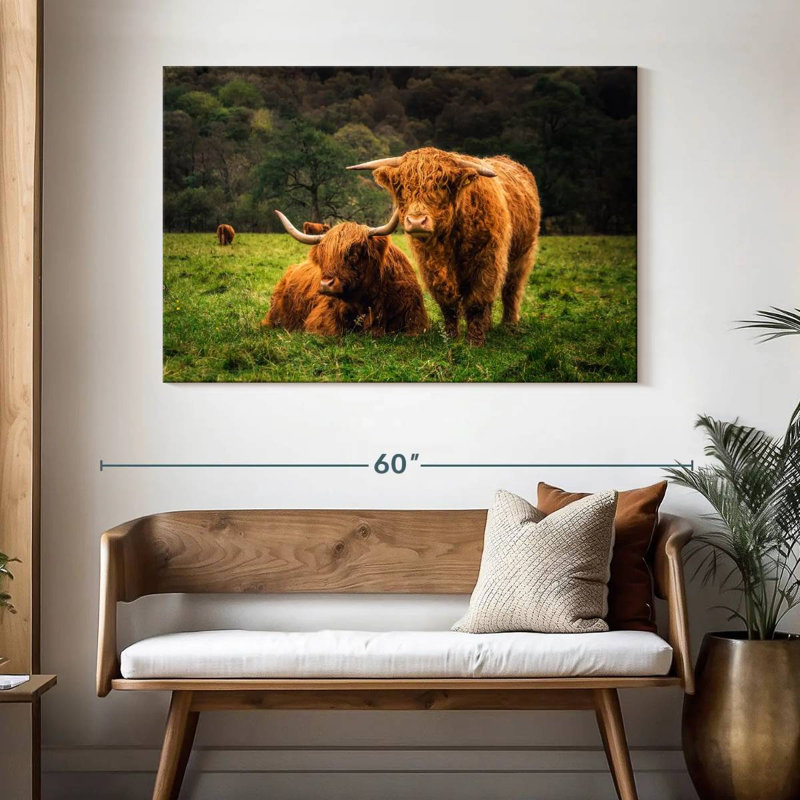 Brampt Highland Cow Friends, H 32 po x l 48 po