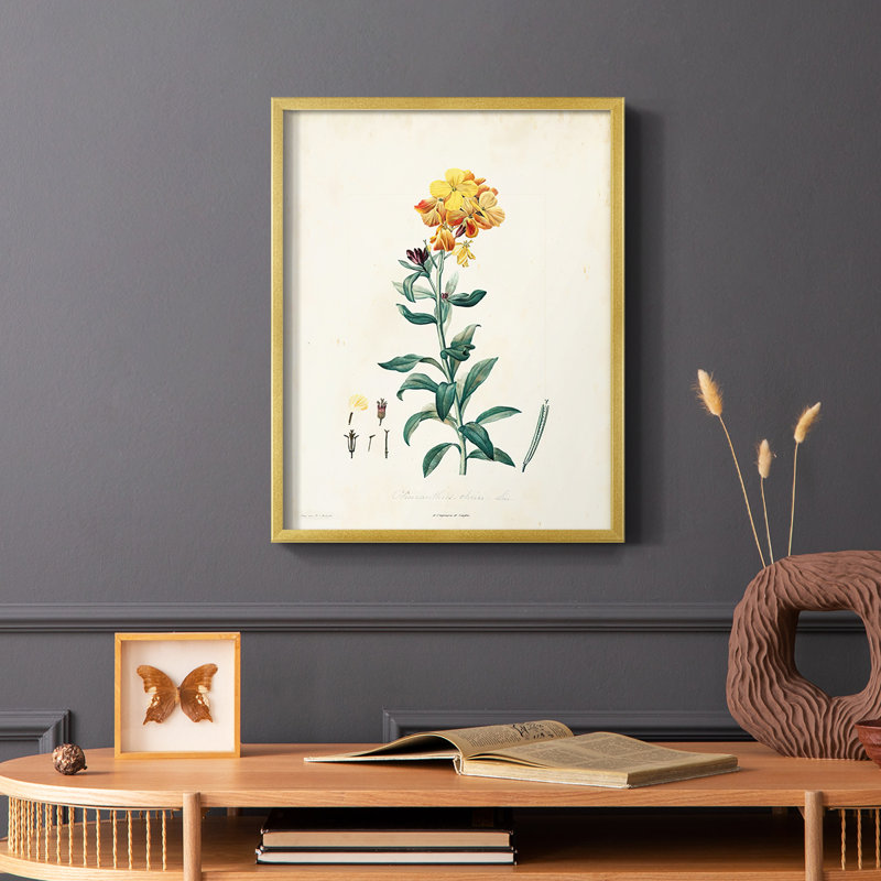 «Traditional Botanical III», reproduction encadrée - bois massif, H 20 po x l 16 po