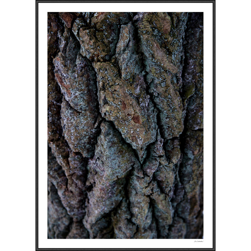 Nina Guldbrandsen - Single Picture Frame Print