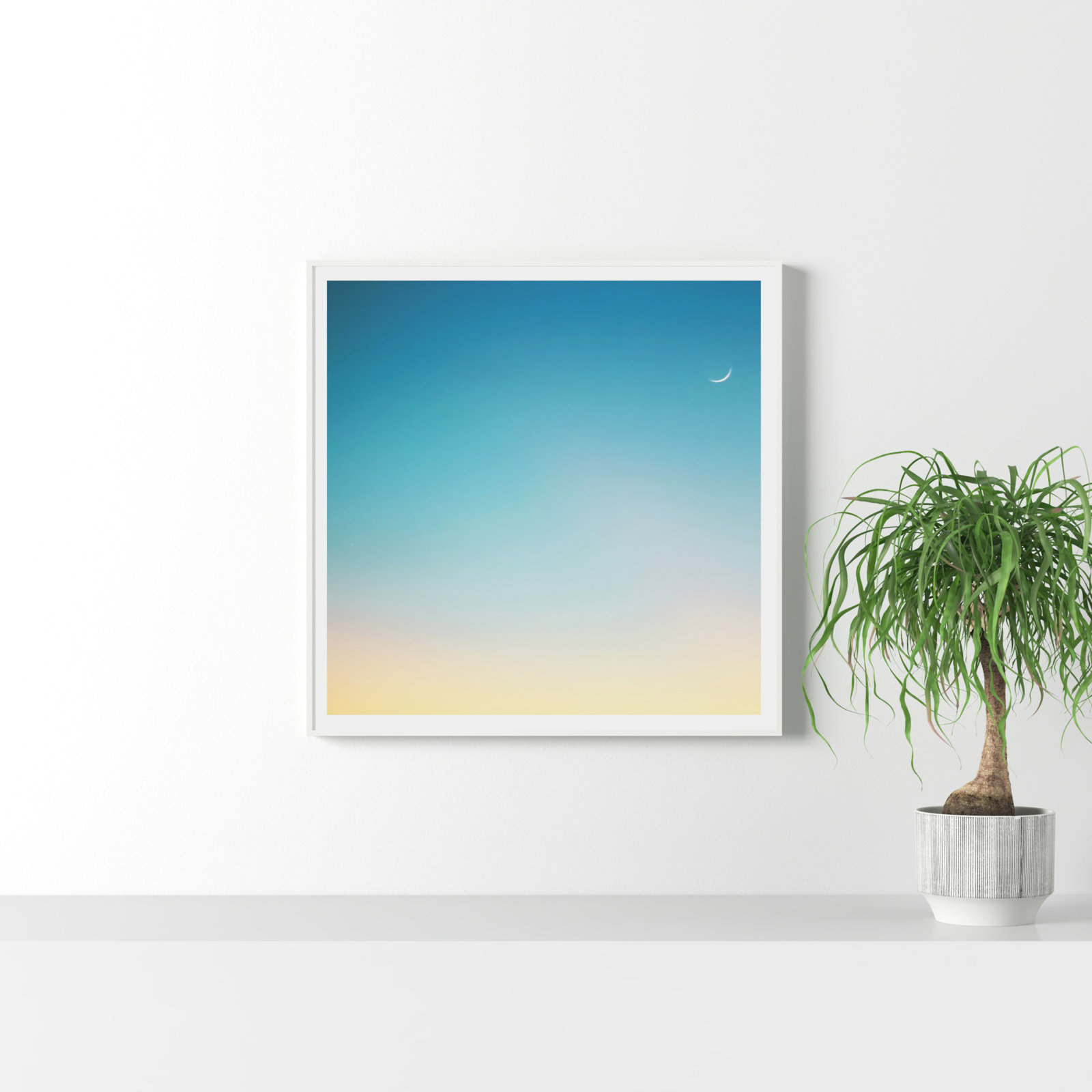 Cresent Moon Ombre by Soicher Marin Archives