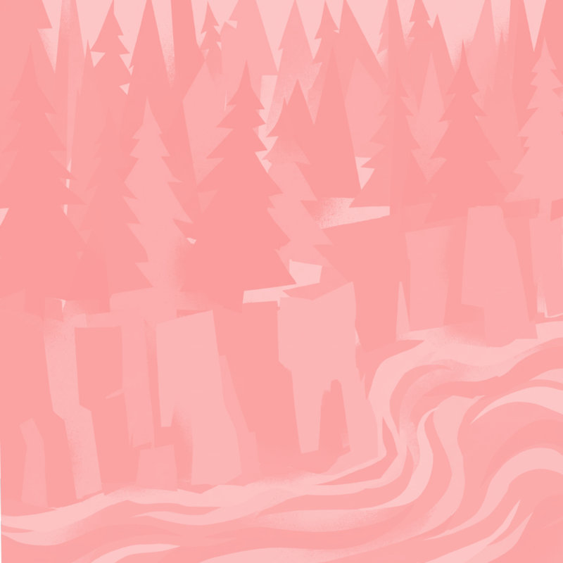 Rideaux de douche Pine River, L 70 po x H 72 po, Rose moyen rose moyen