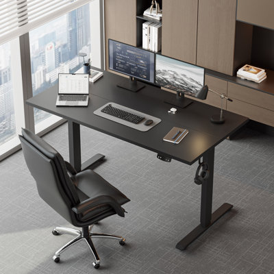 55 inch Electric Height Adjustable Standing Desk with Memory Preset, Ergonomic Sit-Stand Home Office Desk,Computer Desk with Hooks,Black