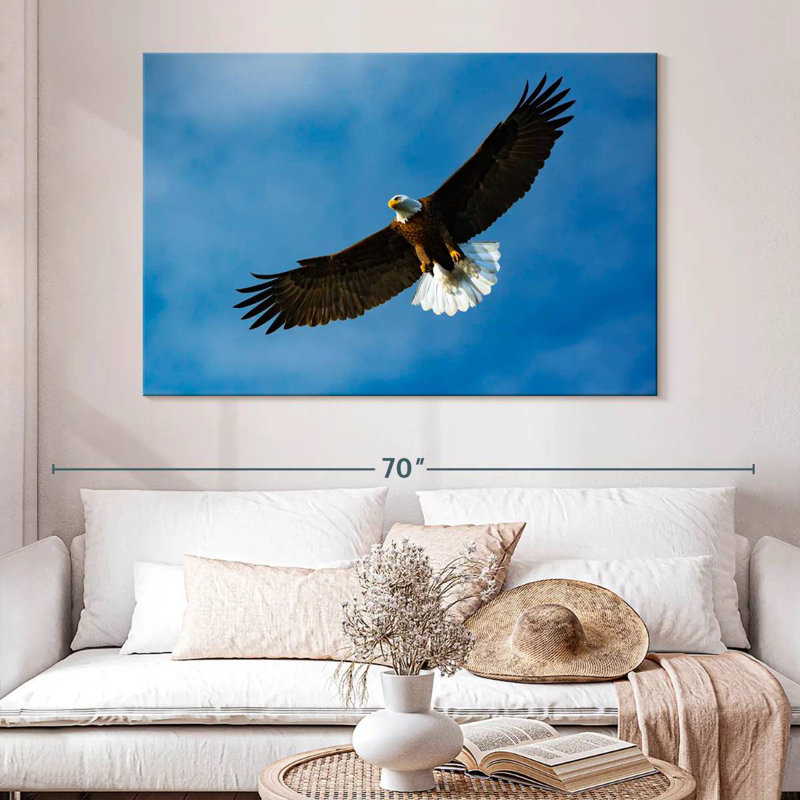 Brampt Eagle From Below, 34" H x 51" W