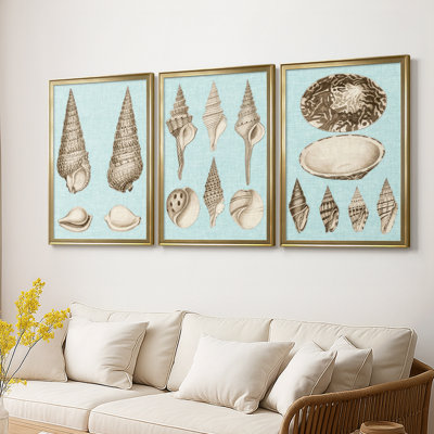 Sépia et turquoise coquillages I - Toile tendue avec châssis sur mesure - 3 pièces