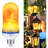 Light Bulbs