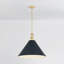 Luminaire suspendu classique 1 lumière Painted No. 2 par Mark D. Sikes pour Hudson Valley Lighting-112648840-112648841-112648843