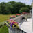 Mixed Arrangement-1398364672