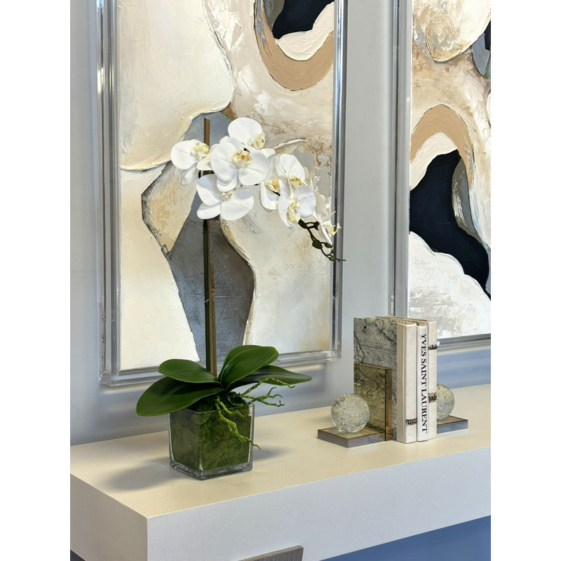 Phalaenopsis In Glass Vase With Moss