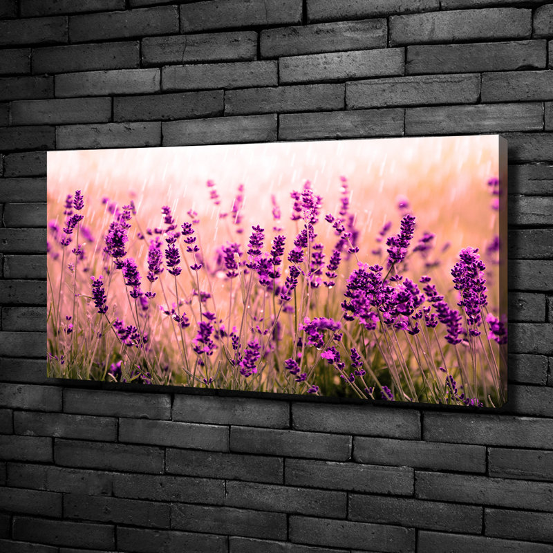 Lavender - No Frame Print on Glass, 50cm H x 100cm W x 2cm D, Canvas