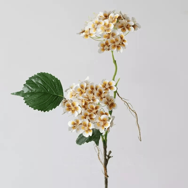 Tige d'hortensia Meadow - 29,5 po, [B] 3 Stems