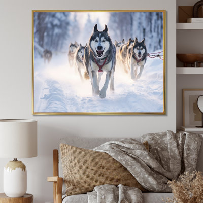 " Alaska Dog Sledding II "