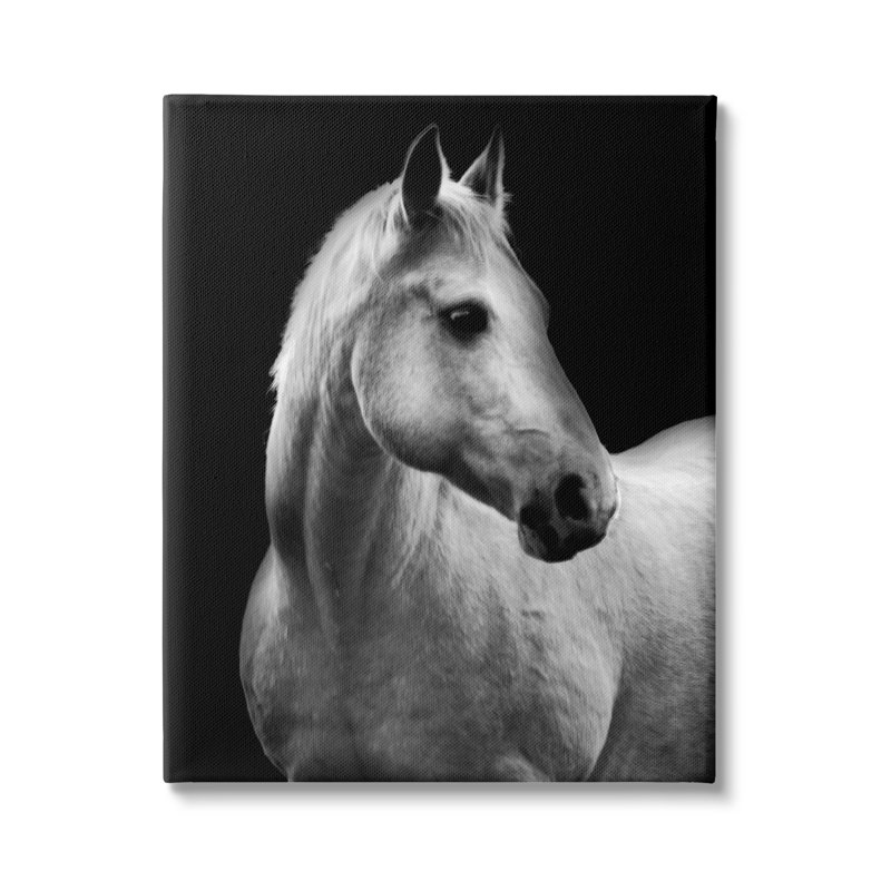 Cheval sur fond noir sur toile par Danita Delimont, H 20 po x l 16 po x P 1,5 po