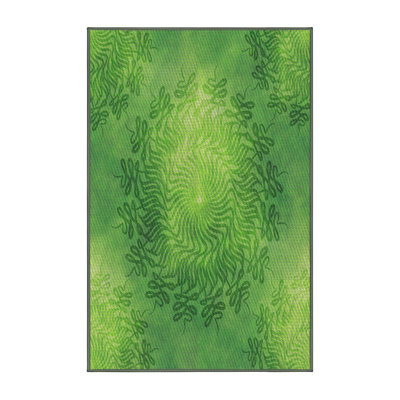 Indoor Rug