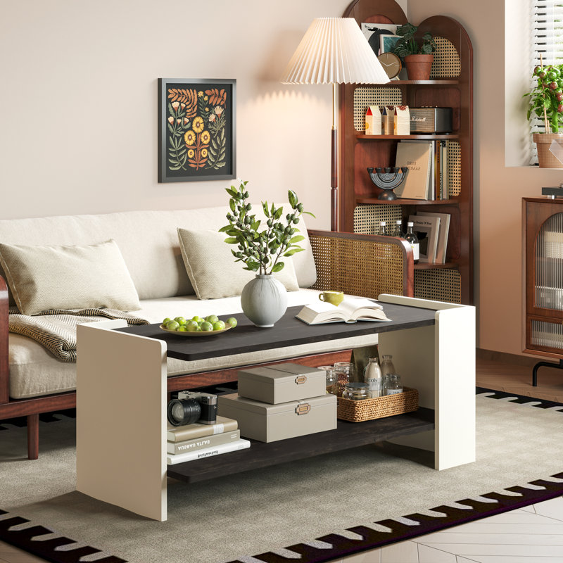 Torron Modern Coffee Table with Storage, Black/White