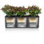 Trio Planter Box-16493114-16493113