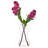 Kagan - Vega Vase - Clear