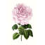 «Grand Blooms IV», peinture sur toile-896376686