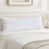 Blanc est en rupture de stock sélectionné