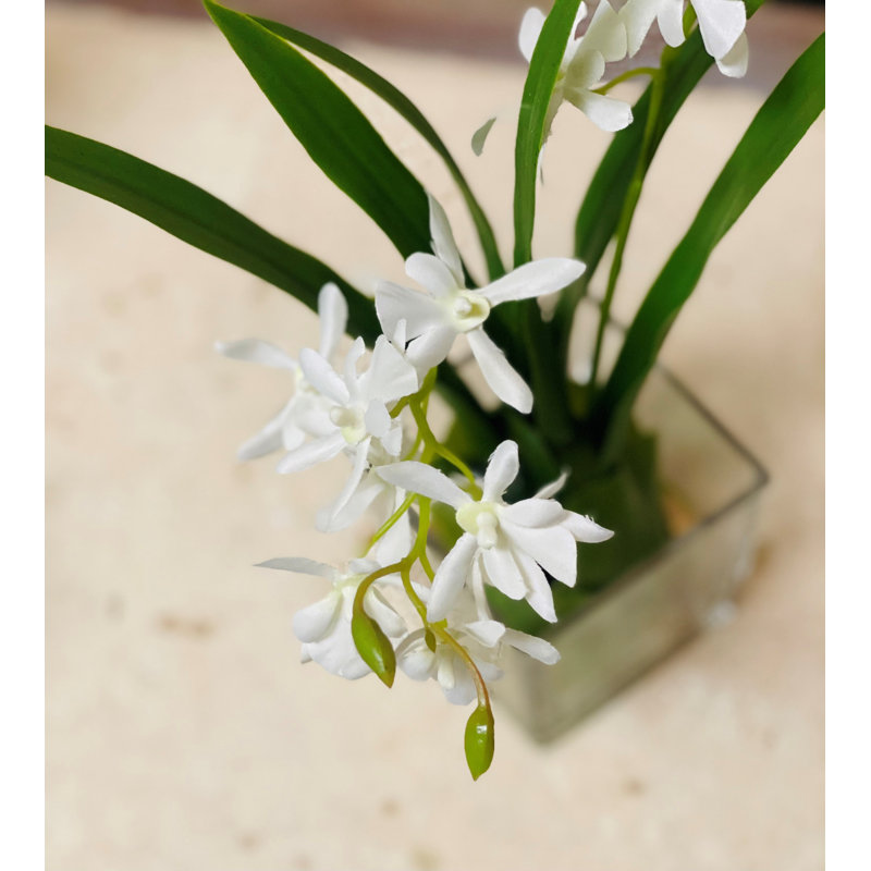 Orchidée Vanda en verre 13 "