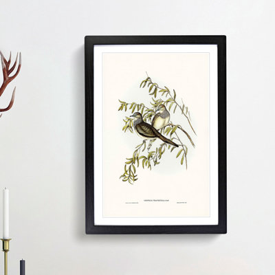 Peaceful Ground Doves by Elizabeth Gould - Framed Print