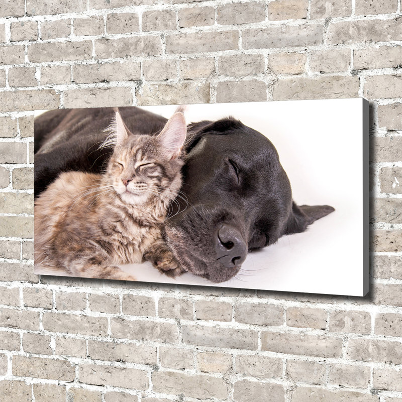 Dog With A Cat - No Frame Print on Canvas