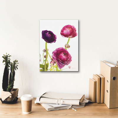 'Spring Ranunculus V'  by Laura Marshall Canvas Wall Art