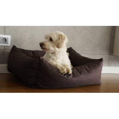 Theodis Codura Pet Bed