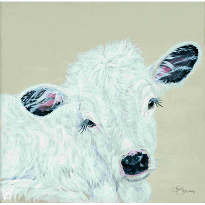 " White Calf "