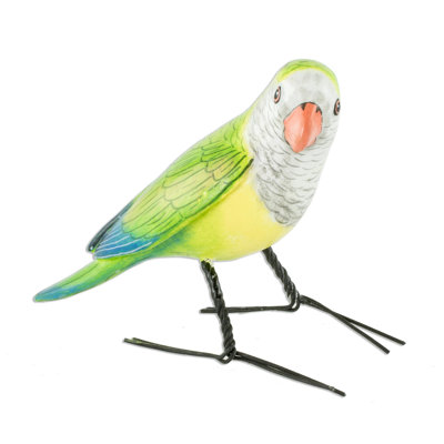 Eveline Monk Parakeet