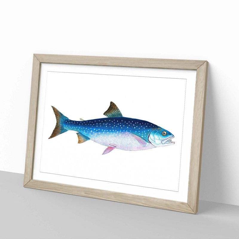 Alpine Charr Fish 1 Piece Single Picture Frame Painting, 33cm H x 45cm W x 2cm D, Oak Framed